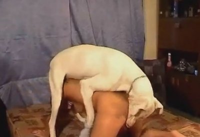 Белый кобель классно отодрал шлюшку